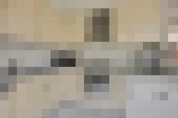 Immenhof 15 Leersum thumbnail 15
