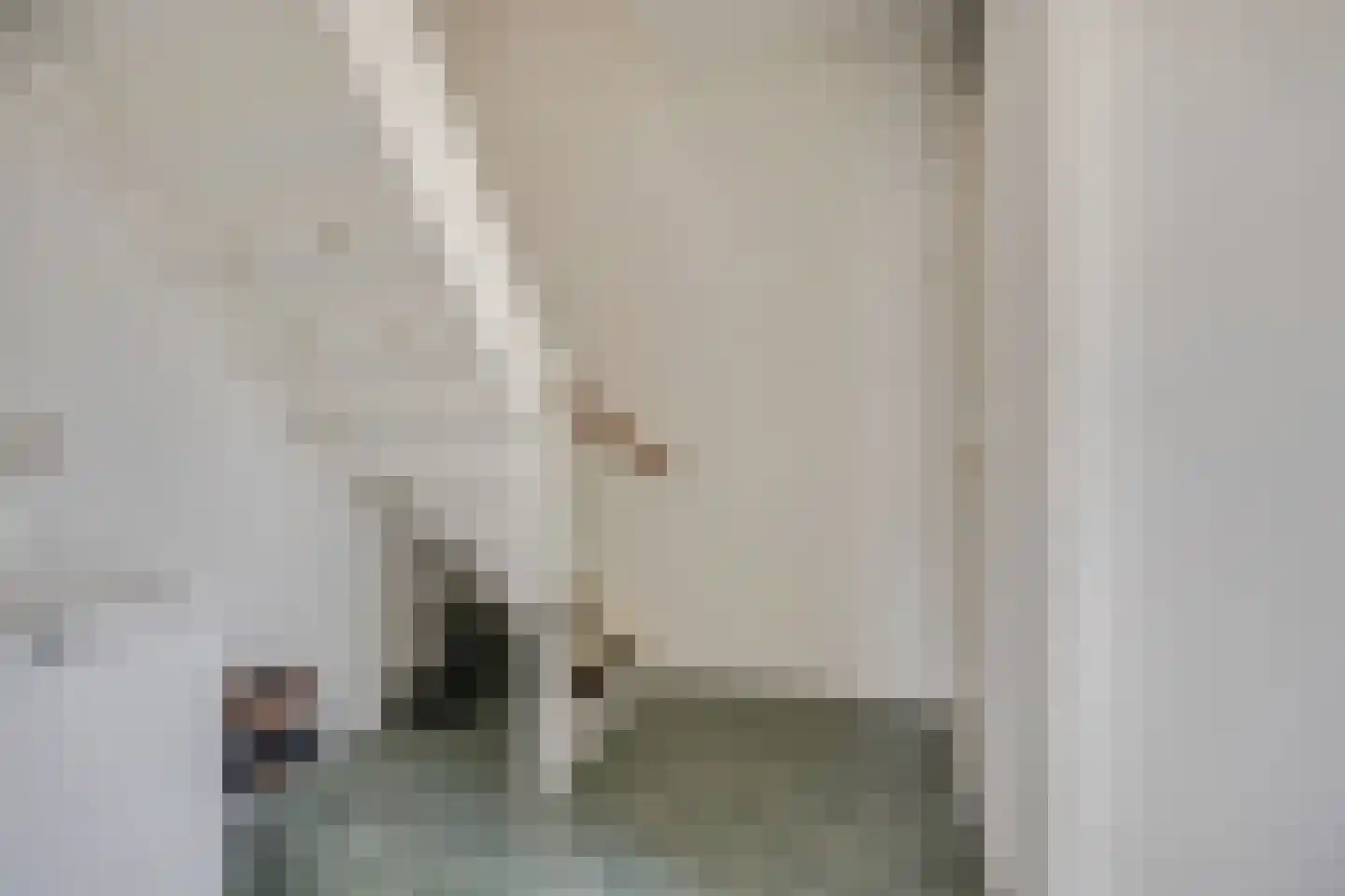 Immenhof 15 Leersum thumbnail 19