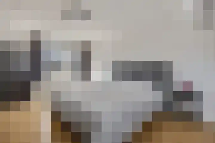 Immenhof 15 Leersum thumbnail 23