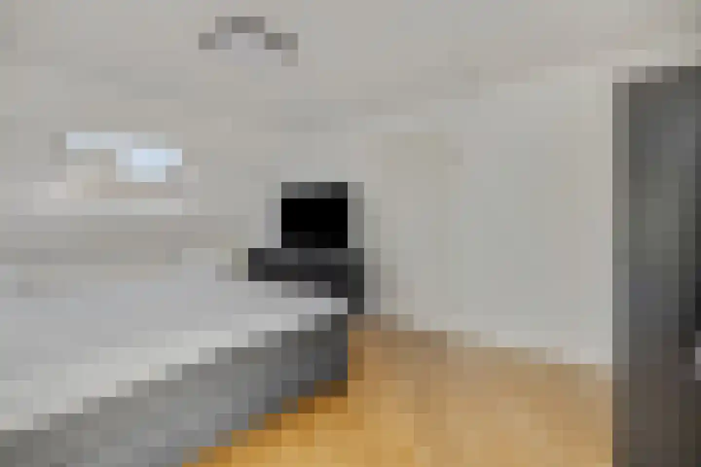 Immenhof 15 Leersum thumbnail 25