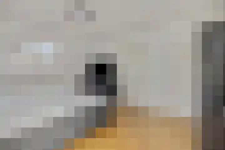 Immenhof 15 Leersum thumbnail 25