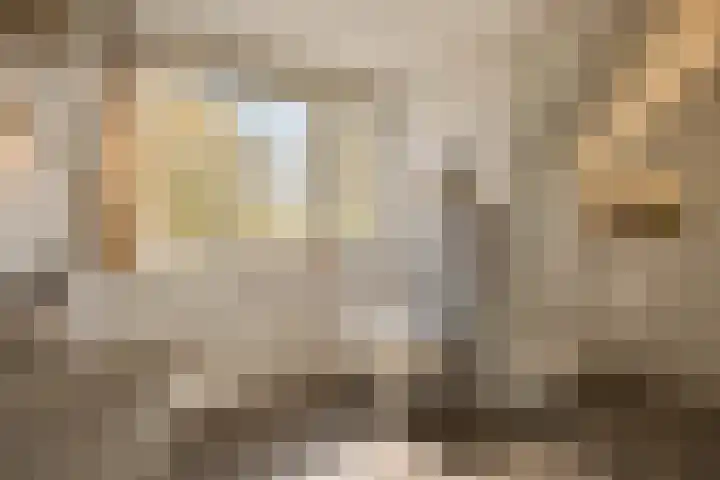 Immenhof 15 Leersum thumbnail 29