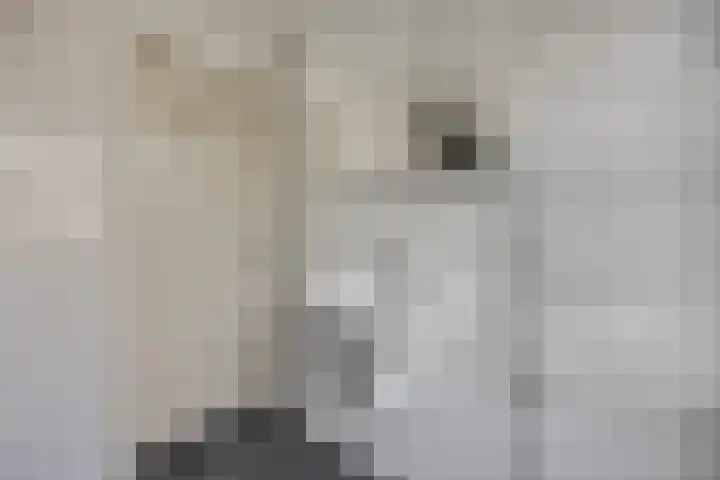 Immenhof 15 Leersum thumbnail 31