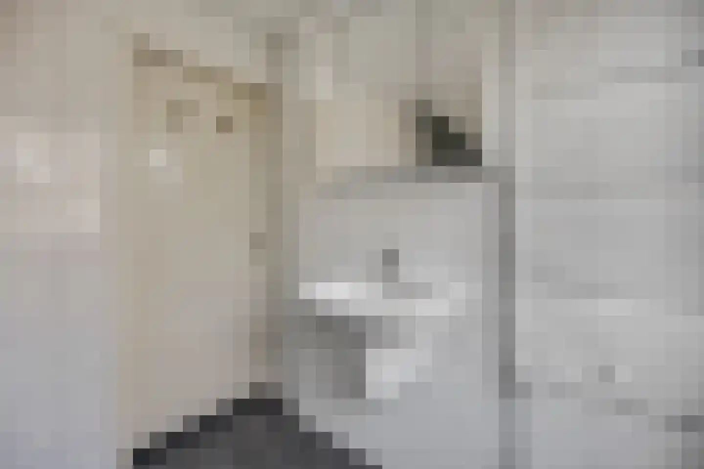 Immenhof 15 Leersum thumbnail 31