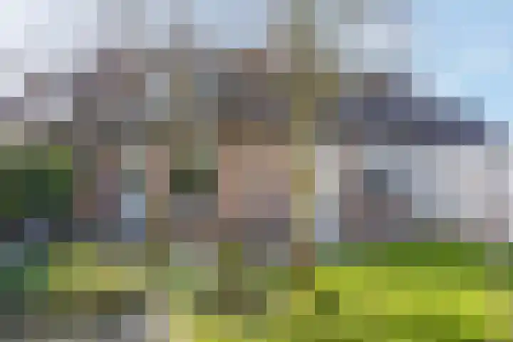 Immenhof 15 Leersum thumbnail 33