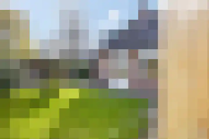 Immenhof 15 Leersum thumbnail 34