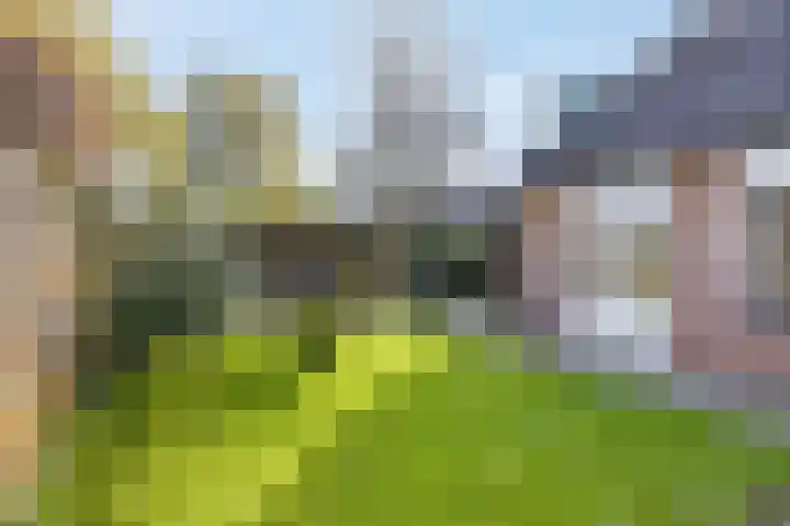 Immenhof 15 Leersum thumbnail 35
