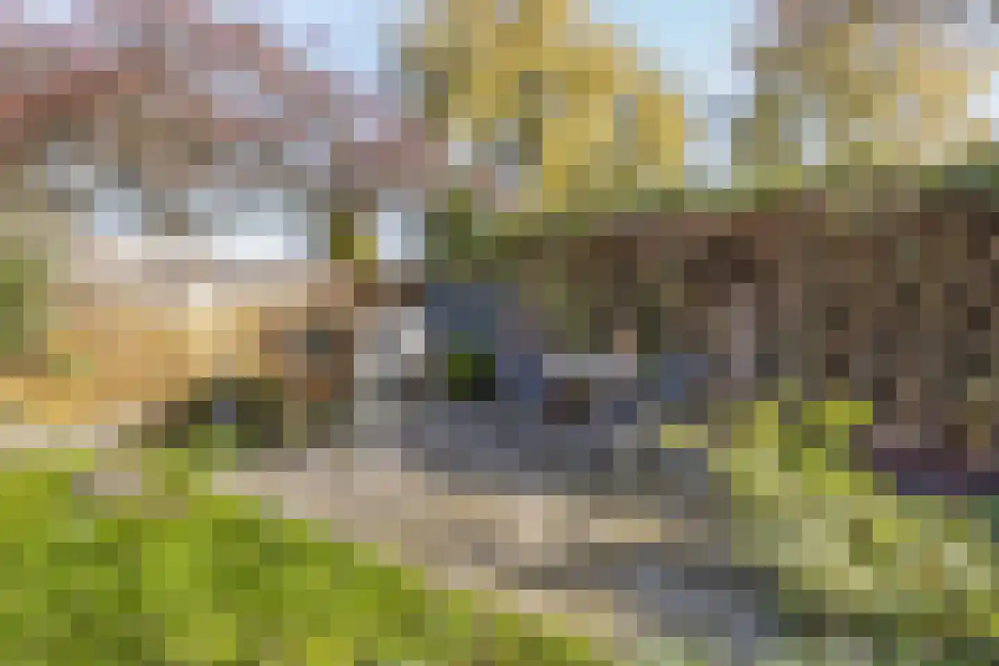 Immenhof 15 Leersum thumbnail 37