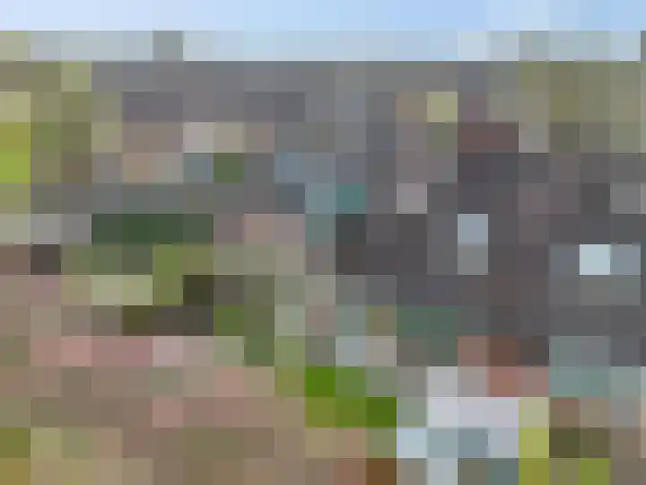 Immenhof 15 Leersum thumbnail 39