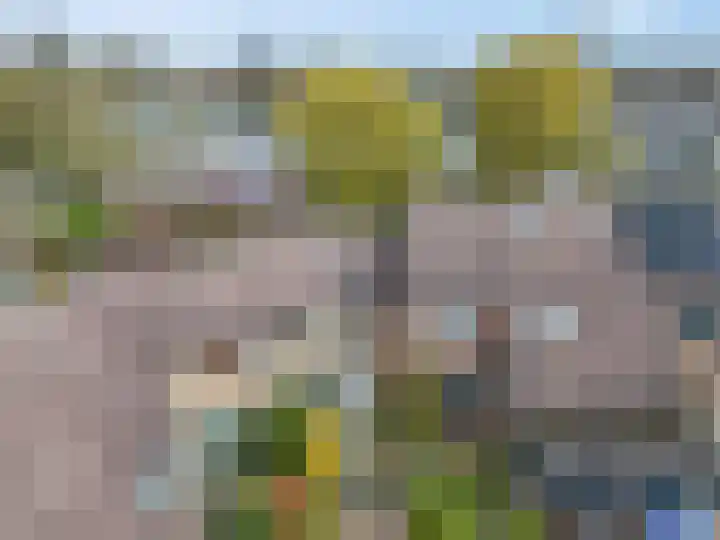 Immenhof 15 Leersum thumbnail 41