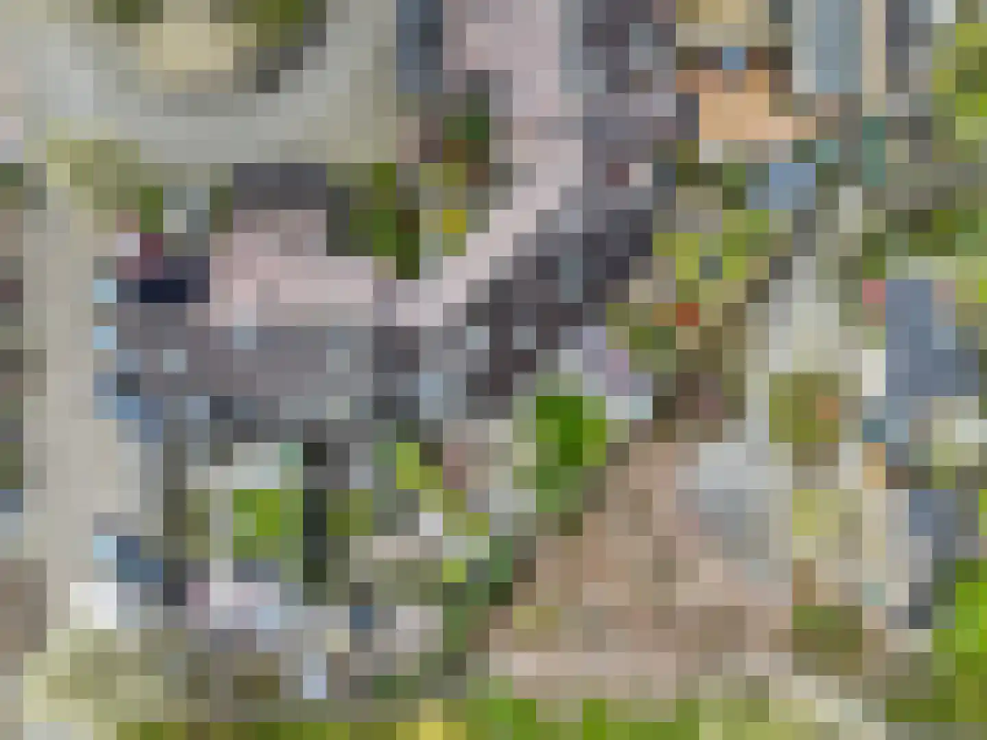 Immenhof 15 Leersum thumbnail 42