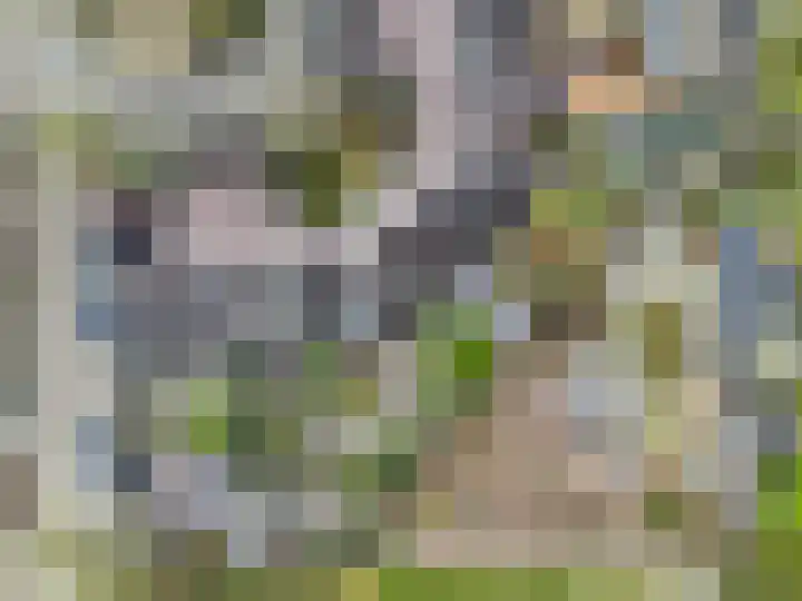 Immenhof 15 Leersum thumbnail 42