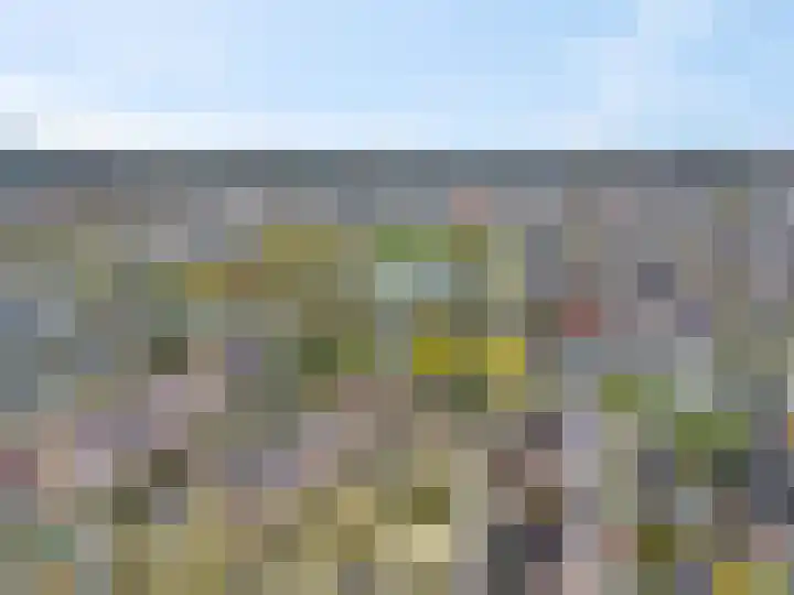 Immenhof 15 Leersum thumbnail 43
