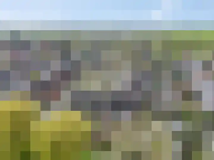 Immenhof 15 Leersum thumbnail 44