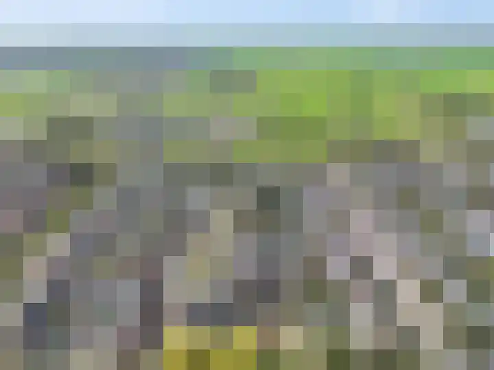 Immenhof 15 Leersum thumbnail 45
