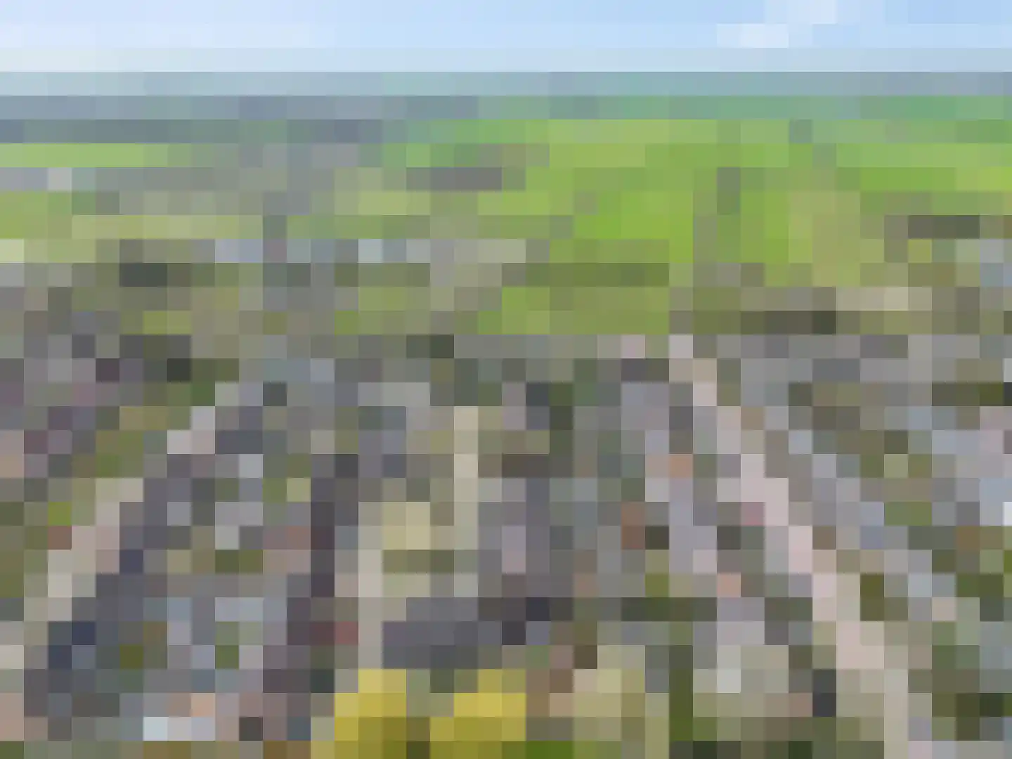 Immenhof 15 Leersum thumbnail 45