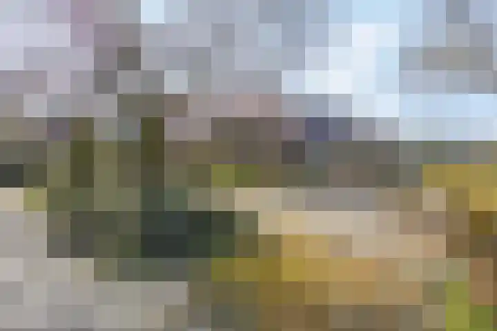 Immenhof 15 Leersum thumbnail 47