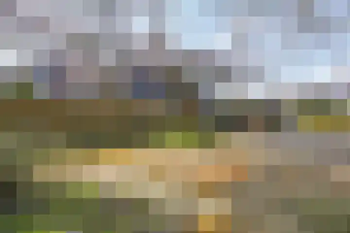 Immenhof 15 Leersum thumbnail 48