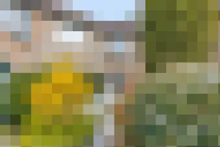 Immenhof 15 Leersum thumbnail 49