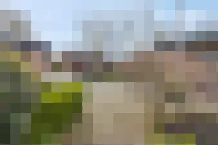 Immenhof 15 Leersum thumbnail 50