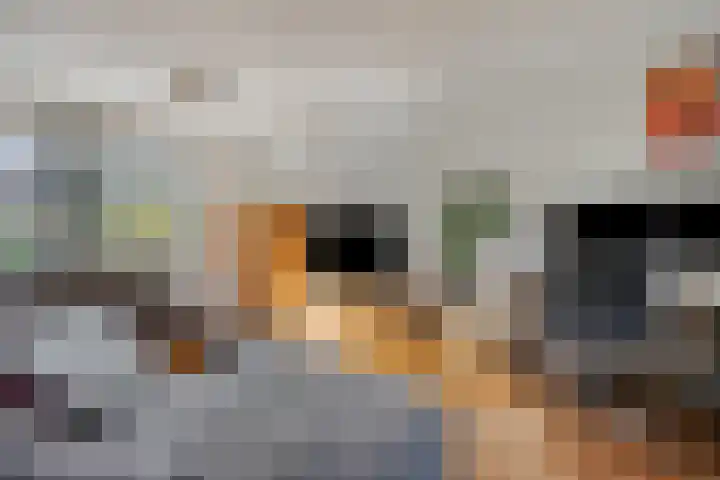 Immenhof 15 Leersum thumbnail 6