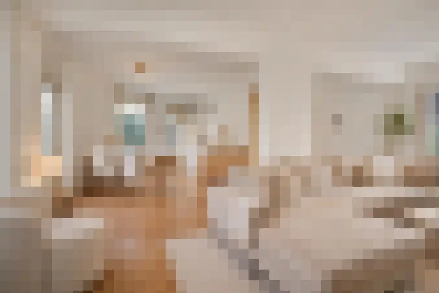 Immenhof 15 Leersum thumbnail 7