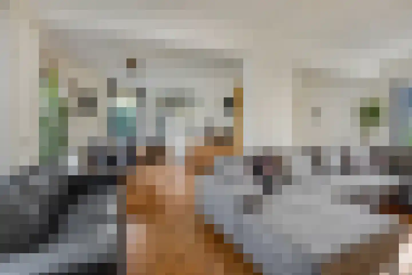 Immenhof 15 Leersum thumbnail 8