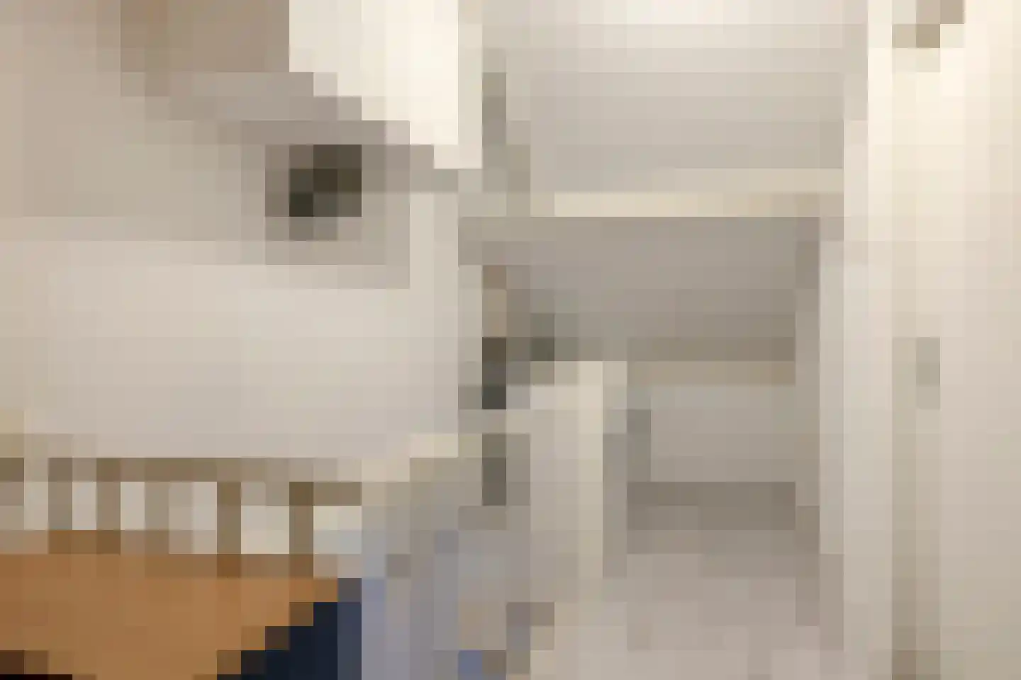 Immenhof 25 Teteringen thumbnail 30