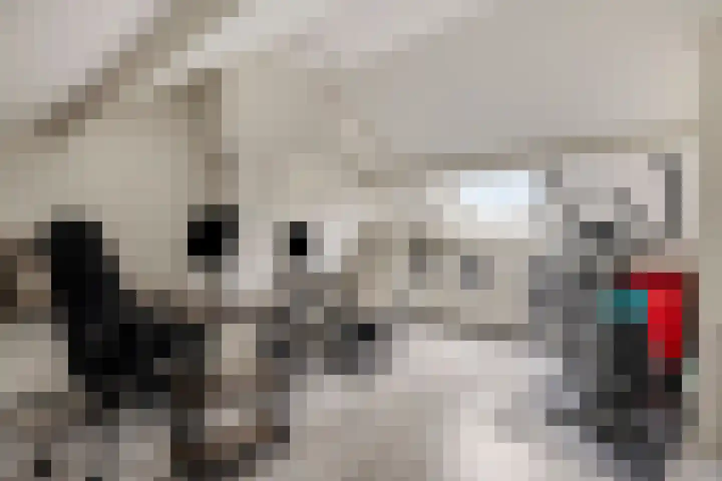 Immenhof 25 Teteringen thumbnail 31