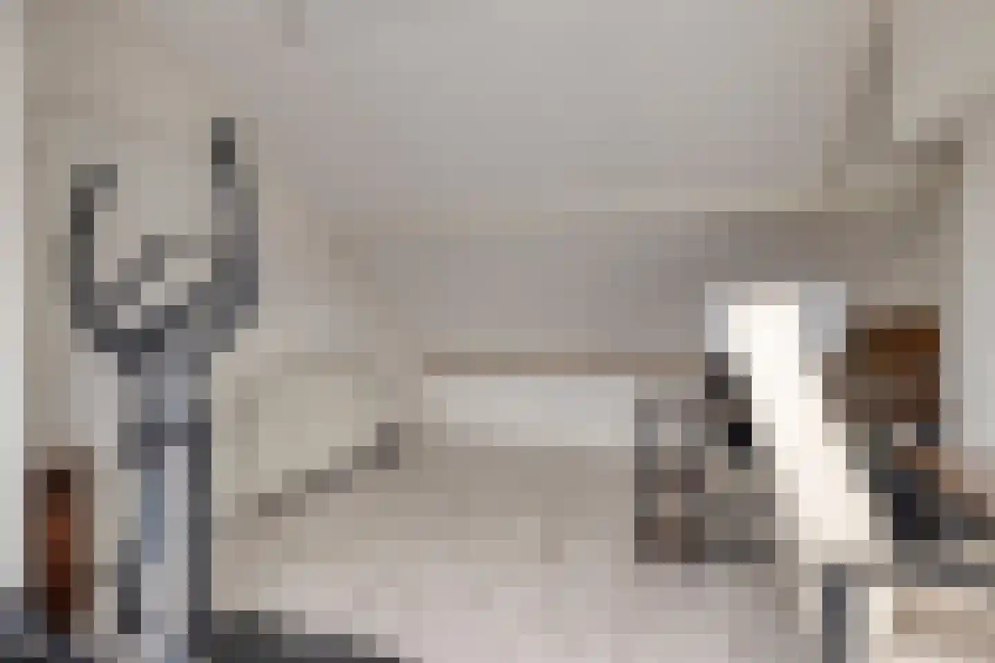 Immenhof 25 Teteringen thumbnail 32