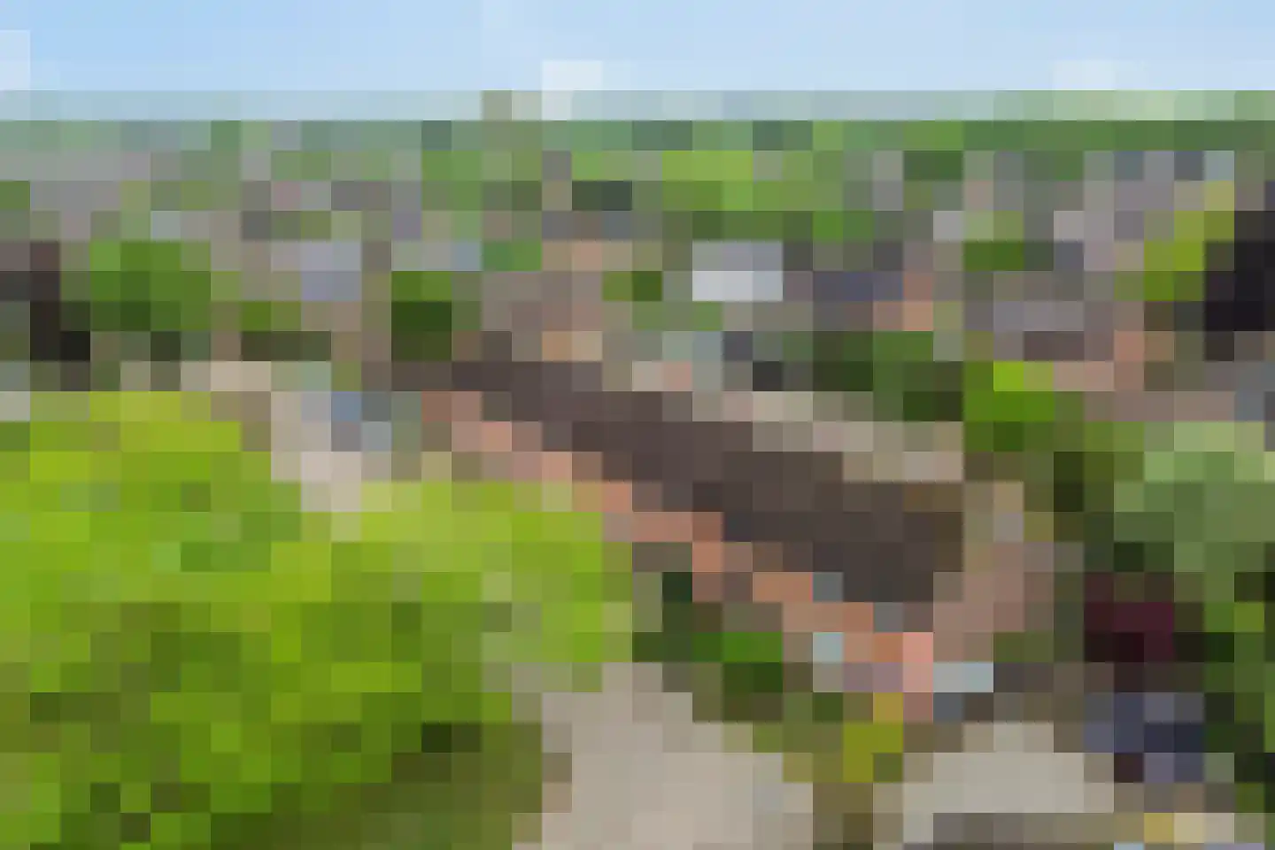 Immenhof 25 Teteringen thumbnail 37