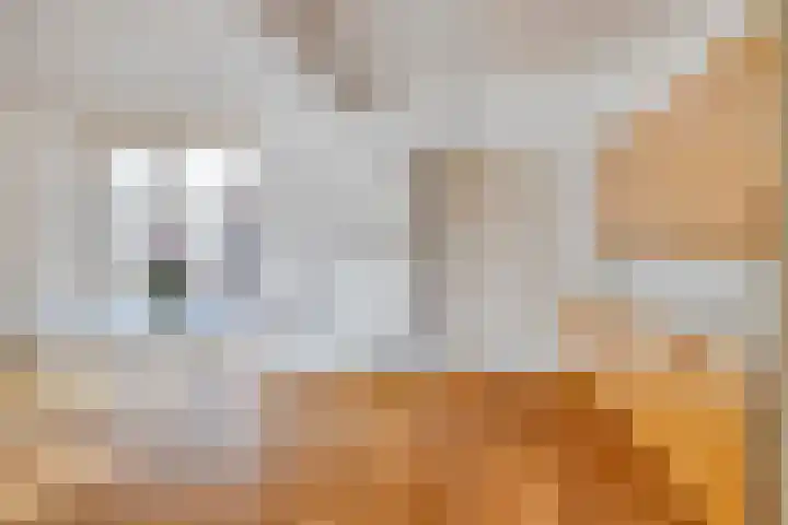Immenhof 4 Teteringen thumbnail 11