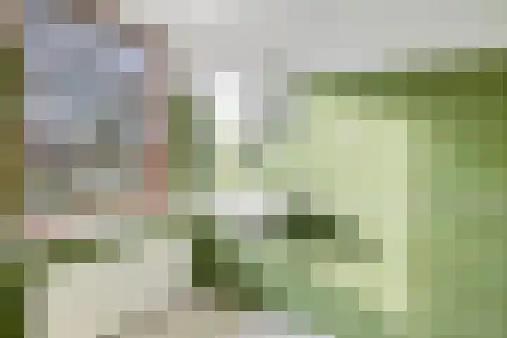 Immenhof 4 Teteringen thumbnail 20