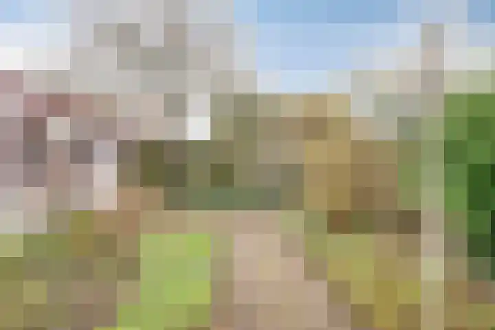 Immenhof 4 Teteringen thumbnail 36
