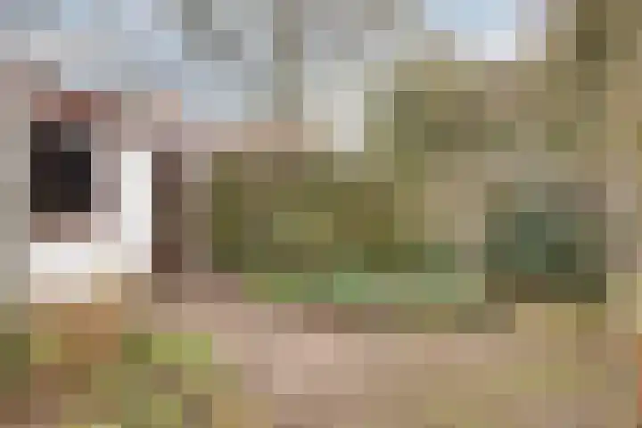 Immenhof 4 Teteringen thumbnail 38