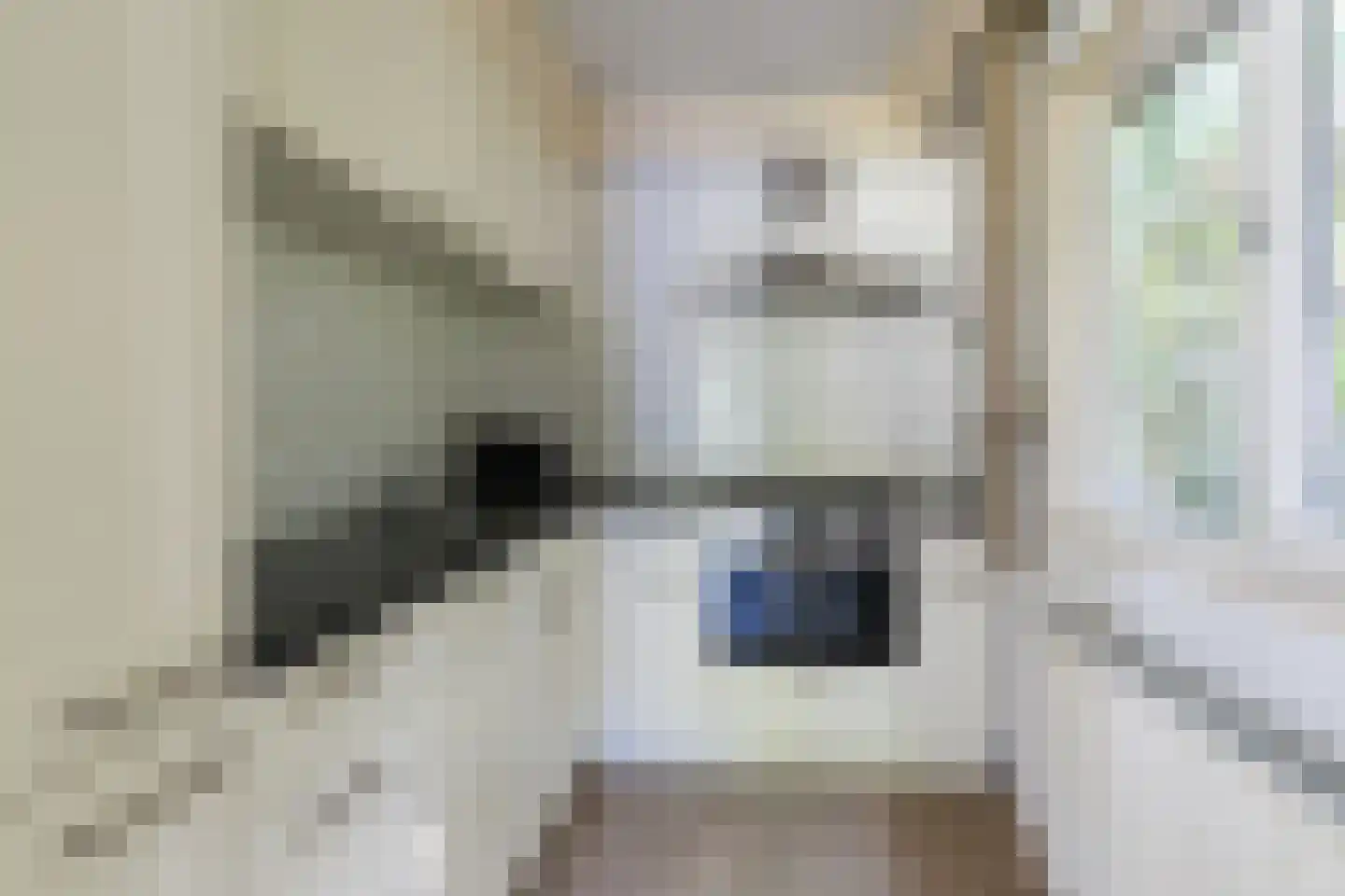 Immenweg 15 162 Lunteren thumbnail 12
