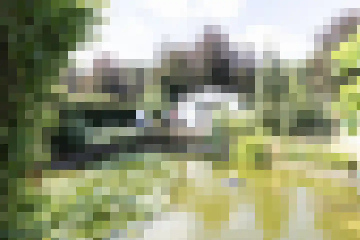 Immenweg 15 162 Lunteren thumbnail 21