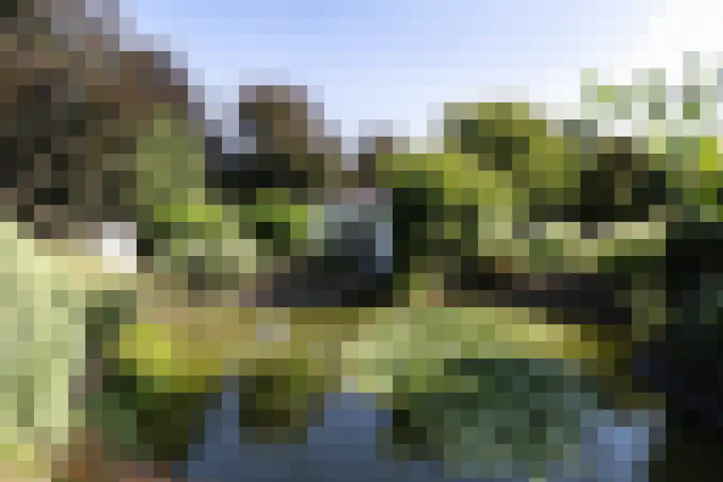Immenweg 15 162 Lunteren thumbnail 22