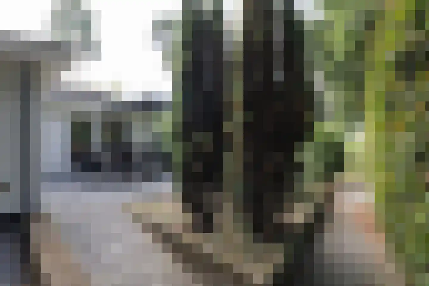 Immenweg 15 162 Lunteren thumbnail 23