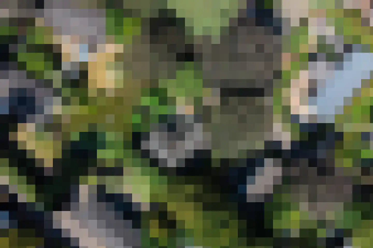 Immenweg 15 162 Lunteren thumbnail 26
