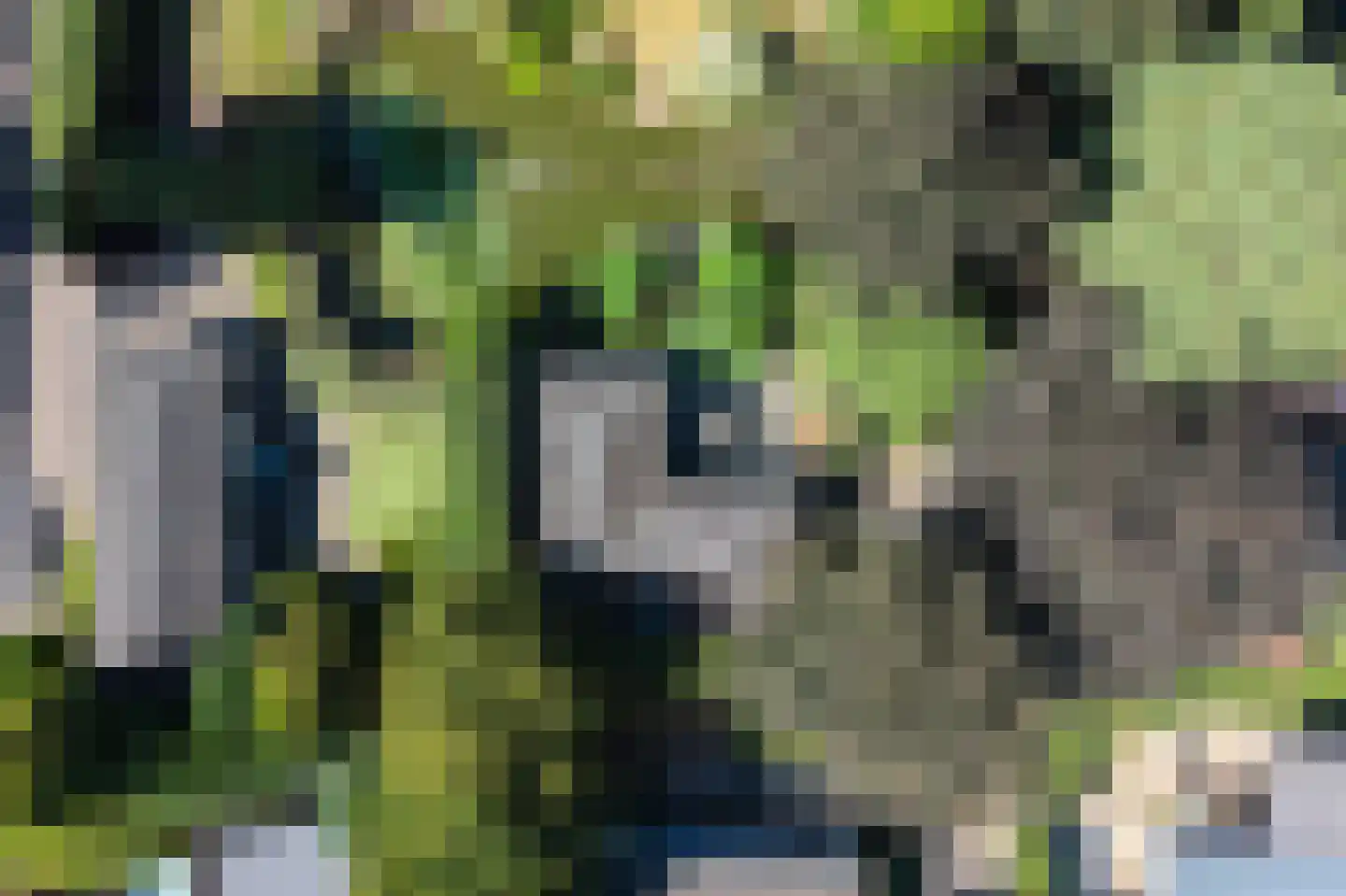 Immenweg 15 162 Lunteren thumbnail 27