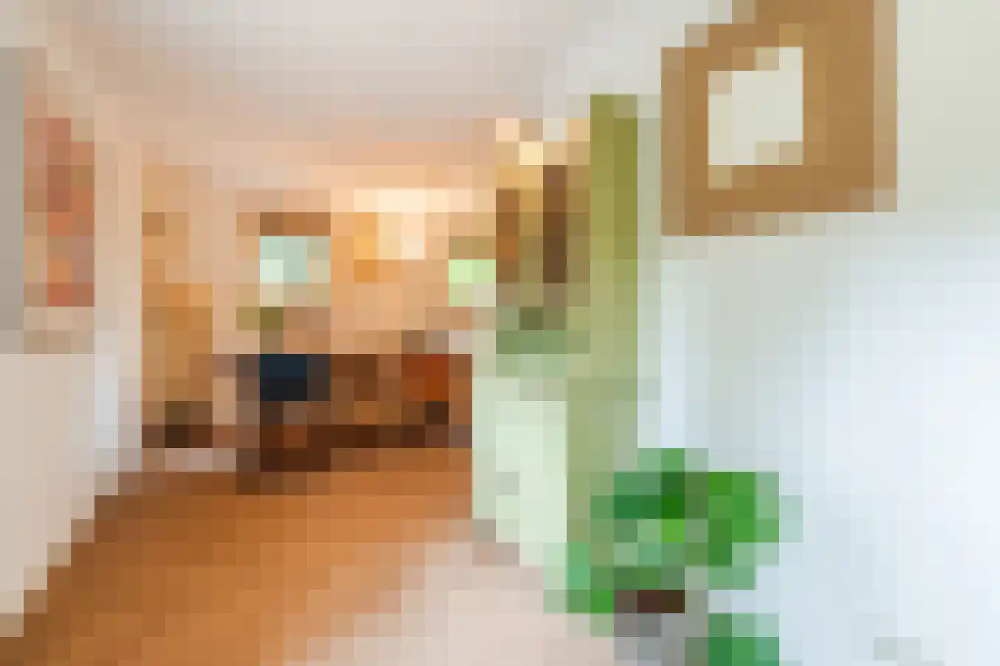 Immenweg 15 23 Lunteren thumbnail 10
