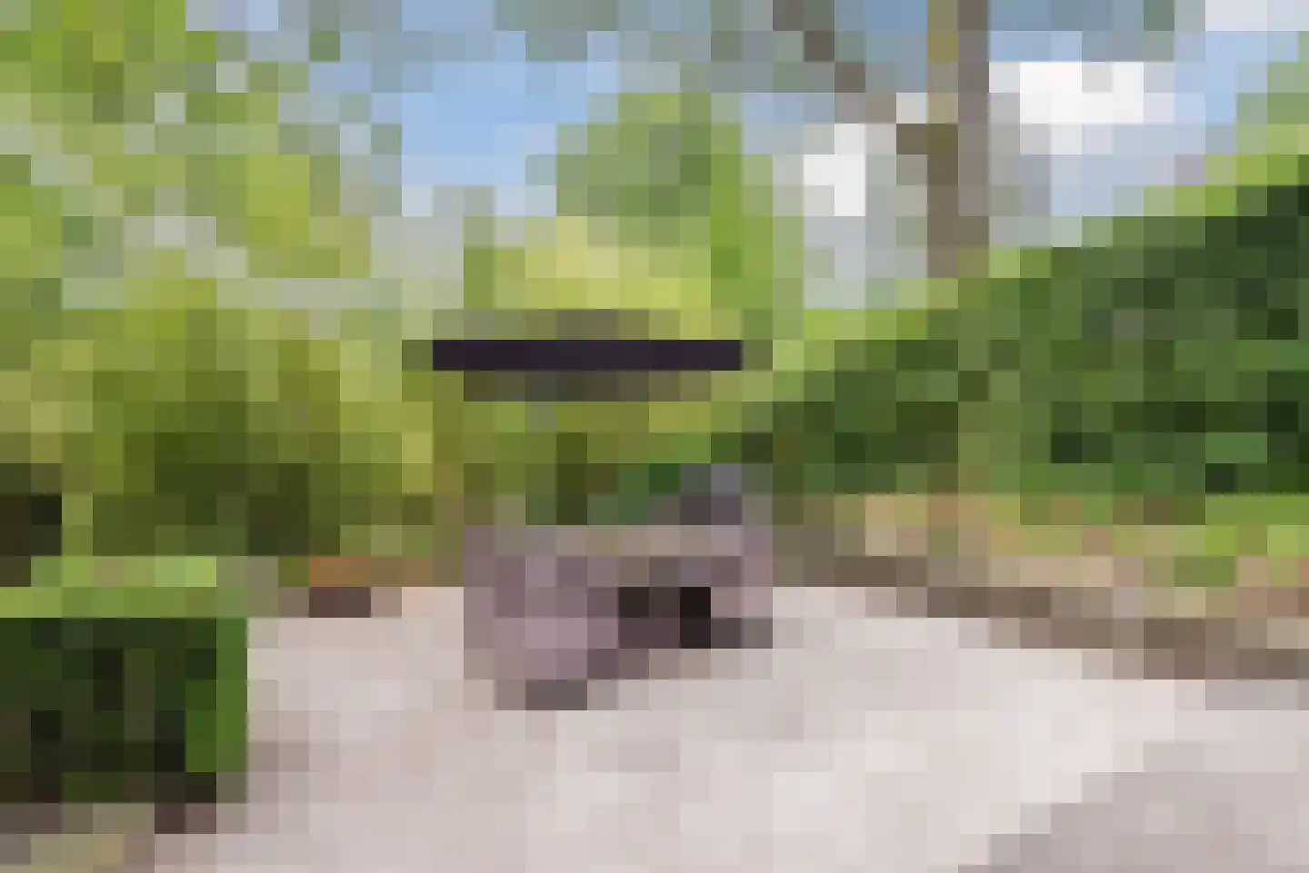 Immenweg 15 23 Lunteren thumbnail 33