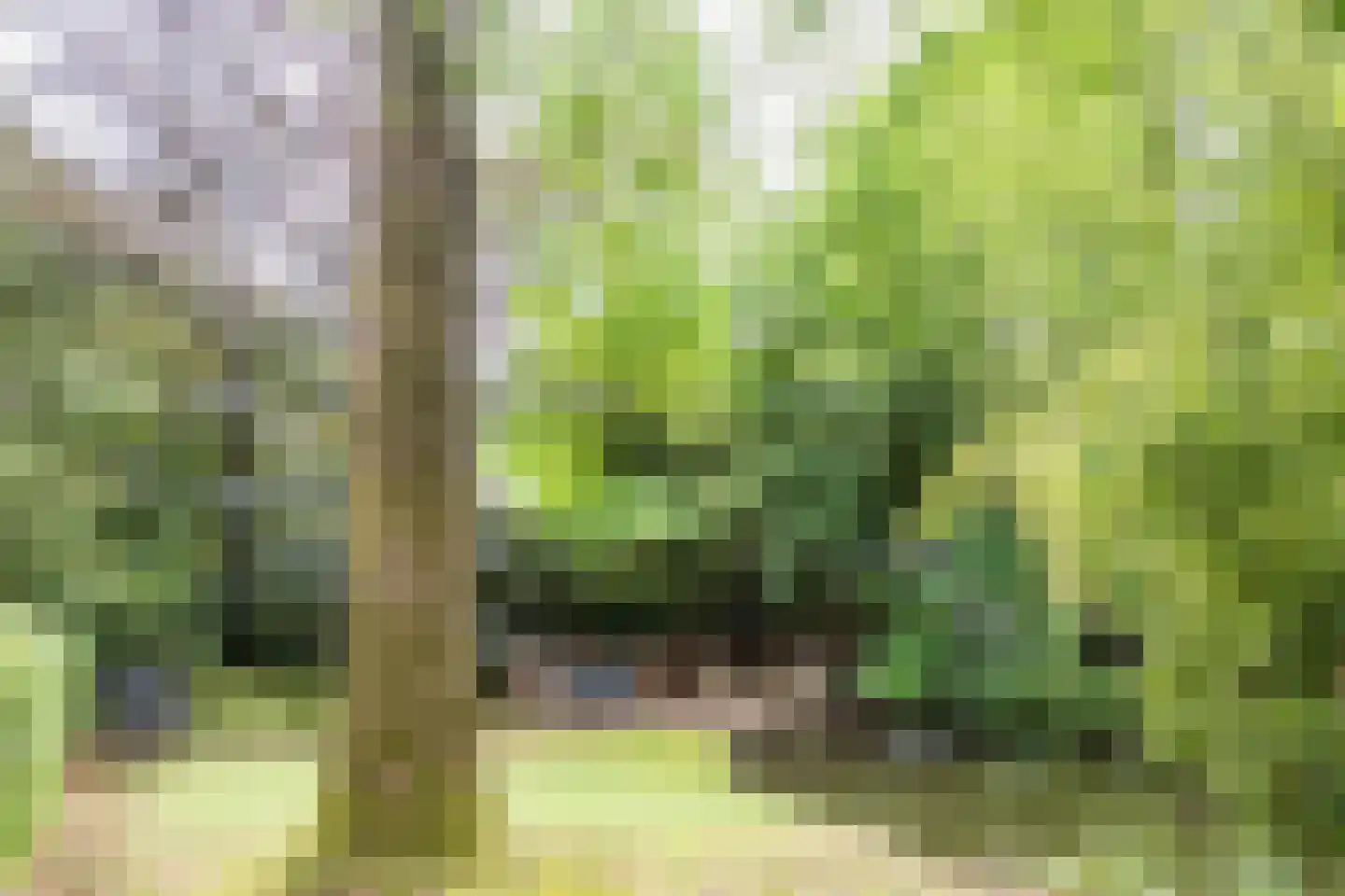 Immenweg 15 23 Lunteren thumbnail 35