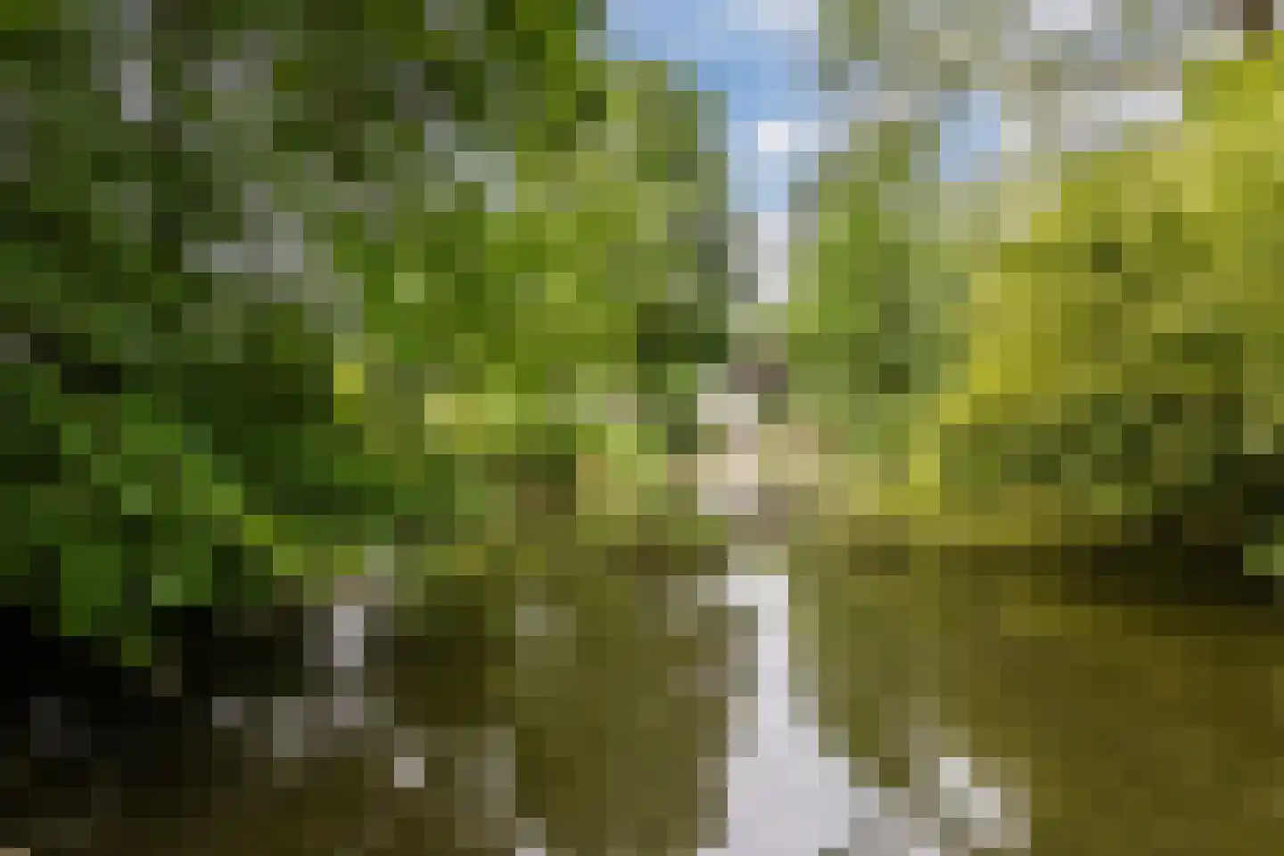 Immenweg 15 23 Lunteren thumbnail 36