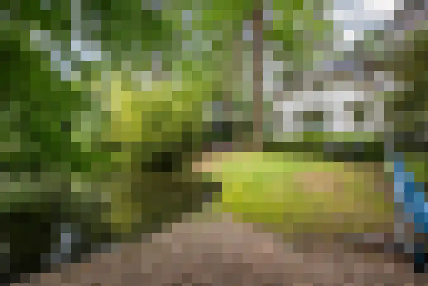 Immenweg 15 23 Lunteren thumbnail 37