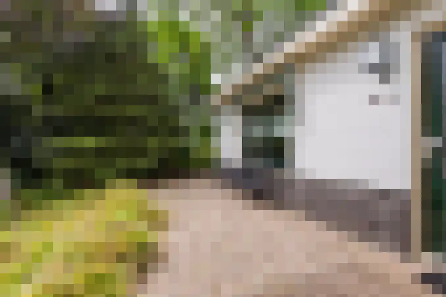 Immenweg 15 23 Lunteren thumbnail 39