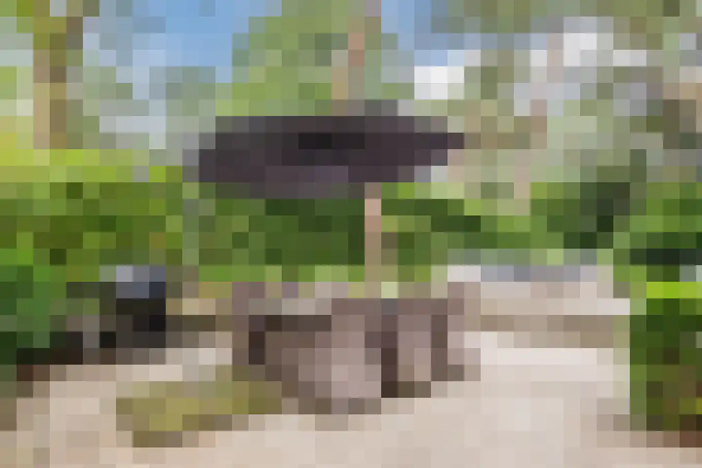 Immenweg 15 23 Lunteren thumbnail 4