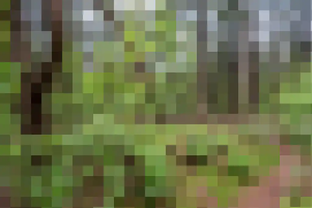 Immenweg 15 23 Lunteren thumbnail 48