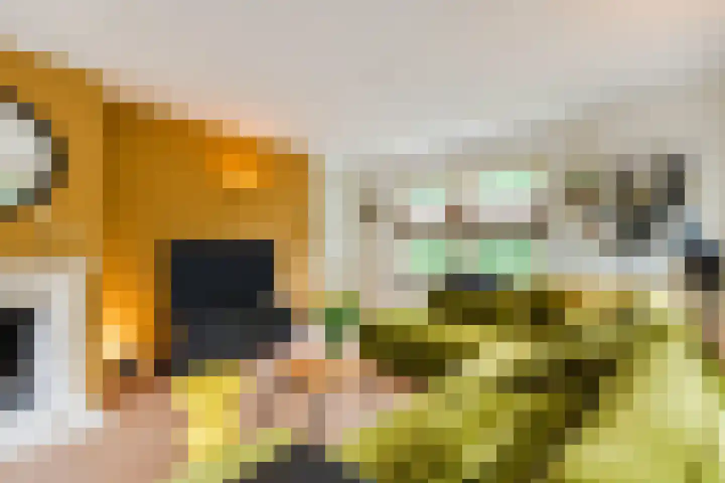 Immenweg 15 23 Lunteren thumbnail 8